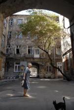 Kot z Brzeskiej wygiął się archetypicznie