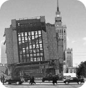 Miasto Feniksa
