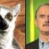 Po lewej lemur, po prawej Cleese.
