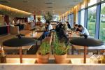 Vapiano to elegancka stołówka z częścią barową, która wieczorem ma  integrować