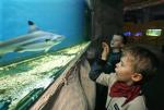 Oceanarium w centrum handlowym Blue City