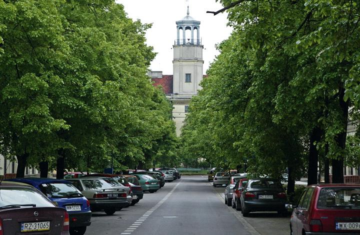 Urokliwa uliczka będzie w niedzielę kawałkiem Holandii