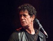 Poeta dzikiej strony rocka