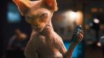 Kitty Galore chce się zemścić na ludziach i psach za utratę futerka