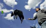 *Michał  w każdej wolnej chwili trenuje dogfrisbee. Jego prawdziwą pasją jest jednak wypasanie owiec. By móc się szkolić, hoduje nawet stado w  Konstancinie-Jeziornie