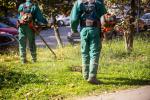 Samorządy odchodzą od jednolitego koszenia wszystkich terenów