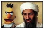 Przerobione w Photoshopie zdjęcie Berta z Osamą bin Ladenem, opublikowane na stronie internetowej „Bert is Evil” w 1998 r., pojawiło się później na wiecu protestacyjnym w Bangladeszu w 2001 r.