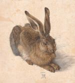 Albrecht Dürer „Młody zając