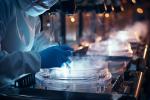 Finansowany ze środków publicznych program in vitro ruszył w czerwcu 2024 r.
