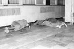Śpiący na podłodze górnicy w czasie strajku w kopalni „Manifest Lipcowy” w Jastrzębiu-Zdroju (1988 r.)