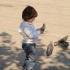 Czteroletnia Sinan uwielbia ptaki, codziennie karmi gołębie na placu Konak Meydani