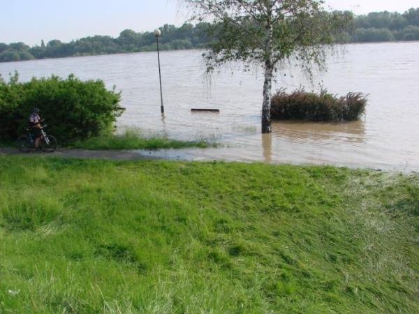 Ścieżka między mostami Gdańskim a Śląsko-Dąbrowskim (Fot. zaba78)