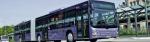 MAN Lion’s City GL. To najdłuższy autobus zgłoszony w przetargu. Liczy 18,75 metra długości i zabiera do 165 pasażerów. Takie pojazdy mogą kursować buspasem na Modlińskiej – na liniach z Tarchomina  