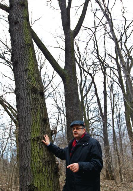 *Leszek Zawadzki zapowiada, że w ostateczności, aby bronić parku, przykuje się do drzewa rafał guz