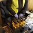 W lutym policjanci i celnicy urządzili nalot na największą  w ostatnich latach nielegalną fabrykę perfum na Mazowszu. Zatrzymali 28 osób.
