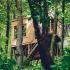 <Polacy chętnie wypoczywają w drewnianych domkach na drzewach  w Nałęczowie  