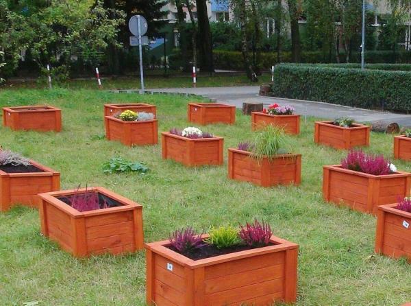 Ogród społeczny na osiedlu Piaski